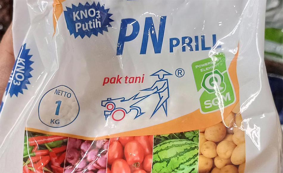 Perbedaan KNO3 merah dan putih