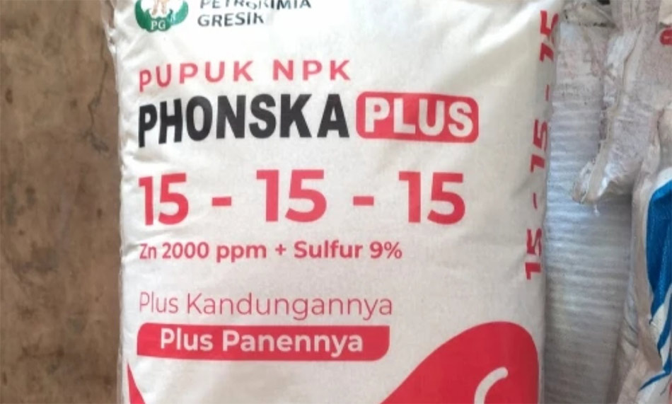 Perbedaan pupuk Phonska Subsidi dan Nonsubsidi