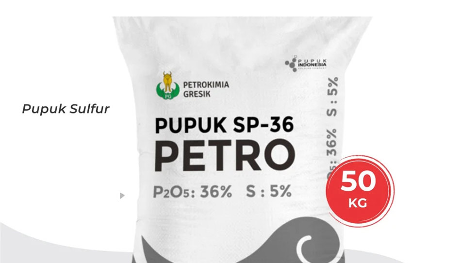 Perbedaan pupuk TSP dan SP 36