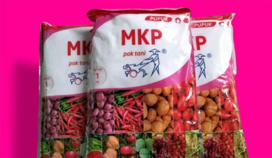 Perbedaan pupuk Ultradap dan MKP