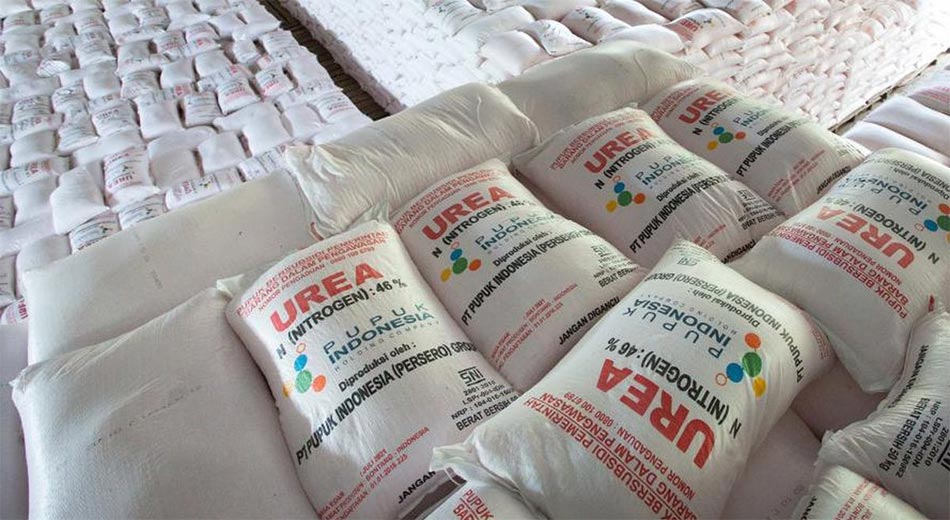 Perbedaan pupuk Urea Subsidi dan Nonsubsidi